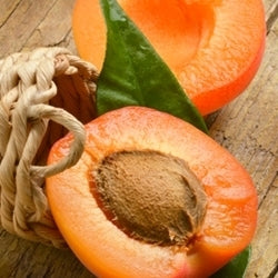 Apricot Flavor - Parfumer's Apprentice - 15ml