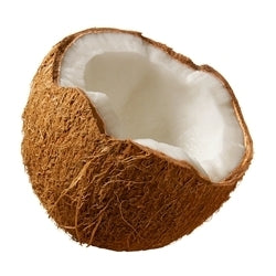 Coconut Flavor-15ml